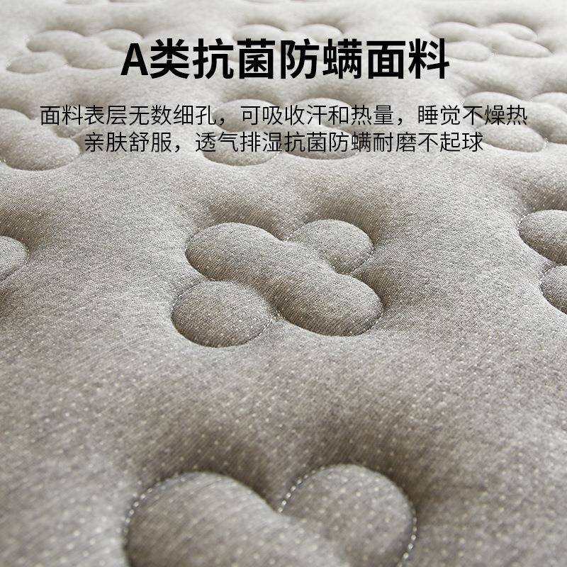 乳胶床软垫生宿舍单人家用人垫席梦思可学定制榻F96986MJ榻米地铺