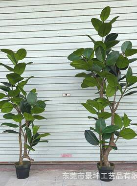 仿JK—A002真橡皮橱榕假室内客厅地盆栽服装落店窗绿色植物琴叶榕