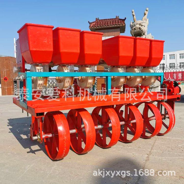 免花生播花生精播种机小耕蚕豆种机麦茬地免耕毛豆精机防播缠绕种