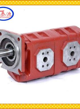 JHP2080040双联EQR齿轮泵临工装2载机双联泵/4912000132