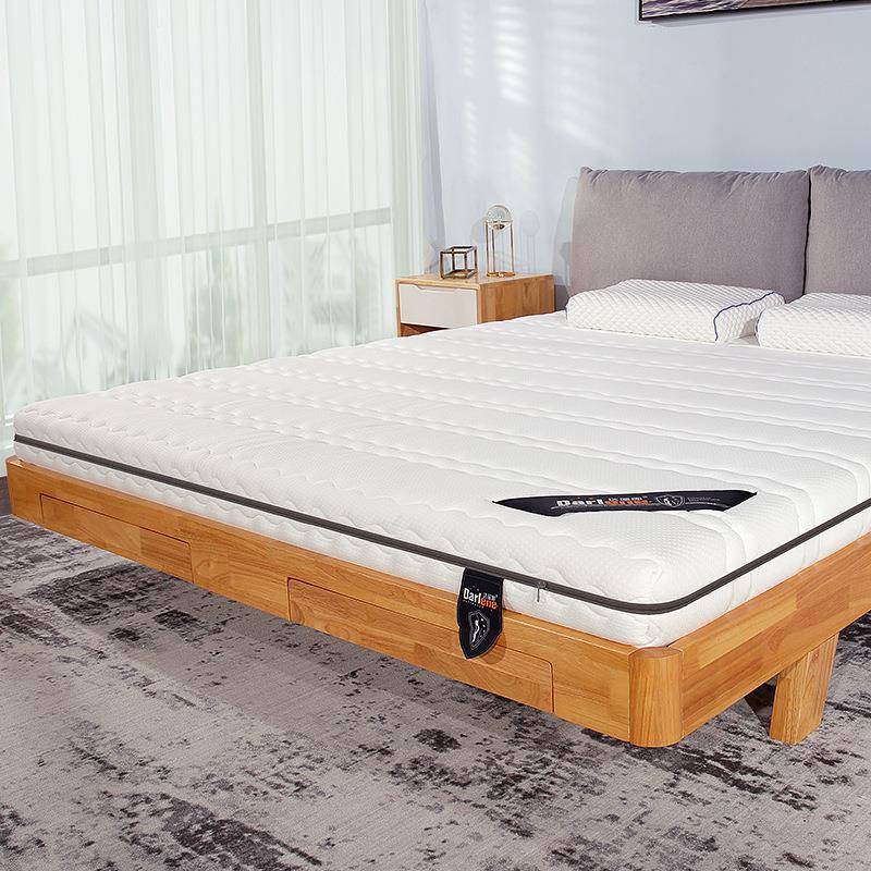 椰棕垫床垫硬垫3舍E棕105乳胶床垫榻榻米儿童学生宿薄垫拆卸