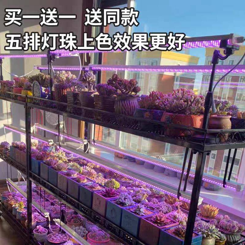 全光谱led多防肉补灯家用上色快徒长WTY仿太阳室内植物绿光光植生