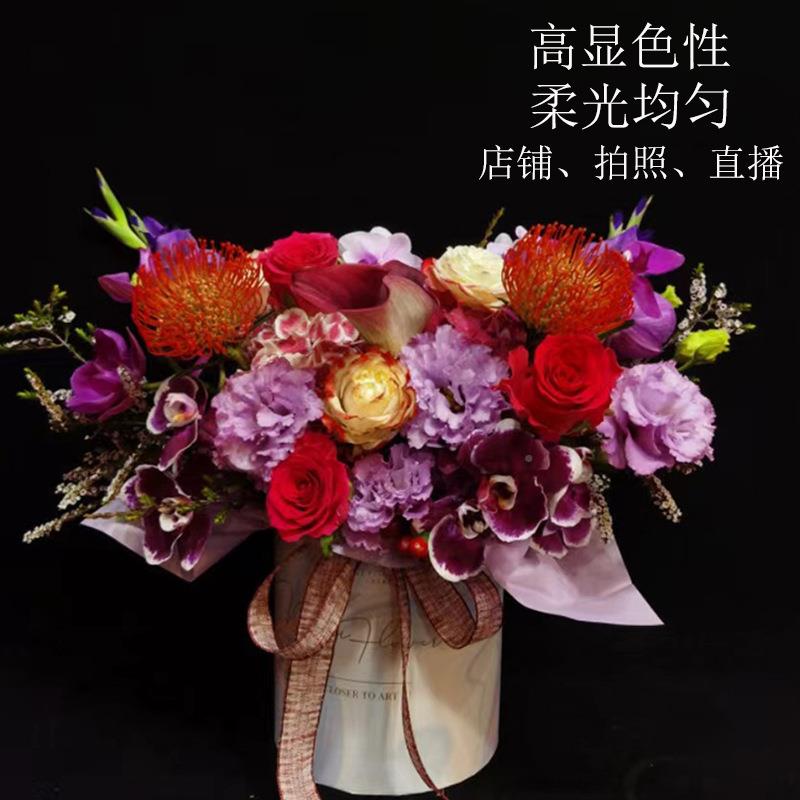 Csamb鲜花店轨道灯散光柔光a显色90博物GT-002美术馆绘画i直播服