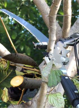 园GZJ-XX-X林高枝高剪省力四轮伸缩高修枝粗枝空剪树枝剪果树枝剪