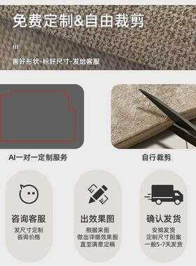 轻奢入防户门地垫耐可裁剪高端门进玄关滑入户脚垫脏门口地UCX毯