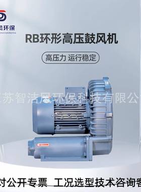 RB-055节能除湿59机干燥用旋涡泵风.7kw3挤出式机吹粉料高压鼓风