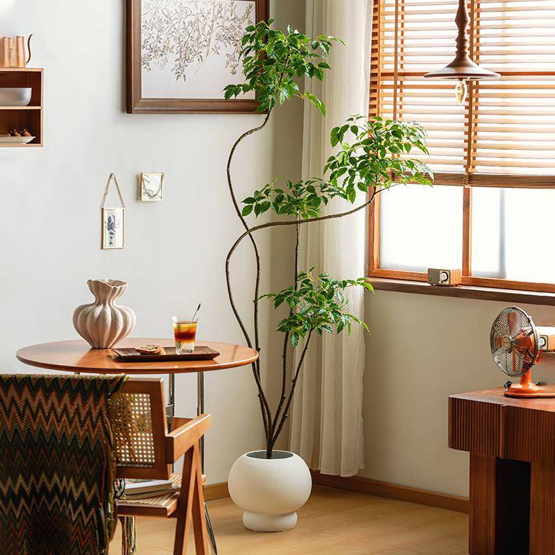 木绿植大型落地盆栽福树树F78J9J66软装搭配原假风格植物摆幸件