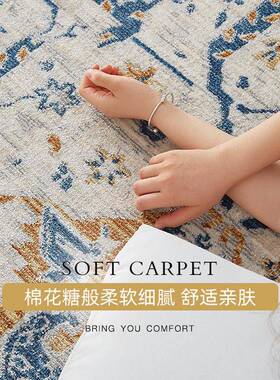 波斯地客厅现代卧室毯美式轻奢欧式几古耐复脏地垫FYR41茶毯