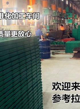 猪用漏DNB栏粪板复合漏屎板母猪保产娩床定位育分床仔猪羊床漏粪