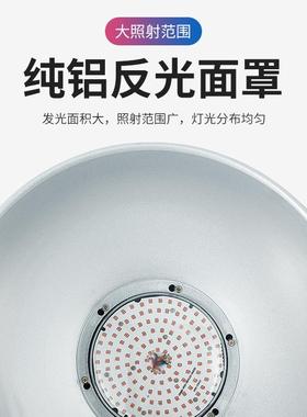 7L0WED车MY-GKD-J间照明灯灯体育馆照明灯车站照明工矿照明灯