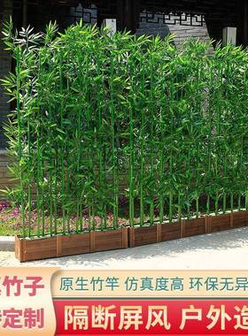 仿竹子客厅用装饰隔家屏风室内断墙假墙仿真绿植户外真庭院R8Yib4