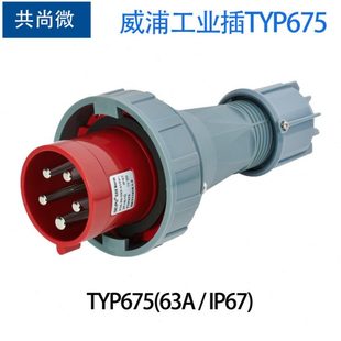 威浦工业防水大电流插头63A5针 TYP675 TYP5924暗装直式插座 IP67