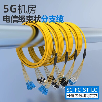 12/24芯束状尾纤SC/LC/FC/ST电信级多芯室内分支缆5G机房布线单模集束光缆光纤跳线尾缆4/8/24芯可定制