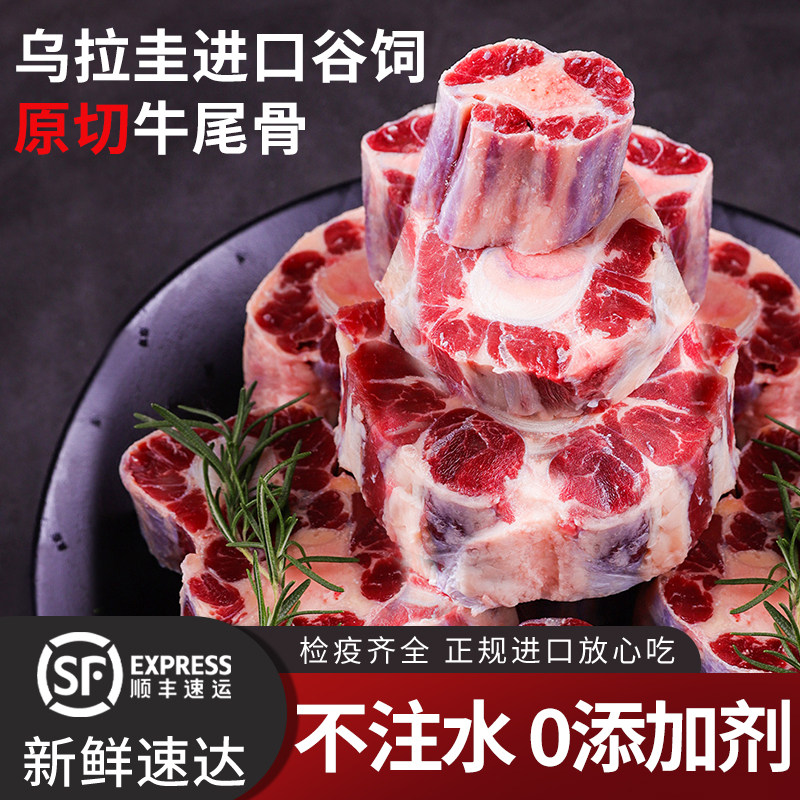 牛勇气 乌拉圭原切牛尾骨 2斤 牛肉生鲜牛尾巴段宝宝煲汤营养食材