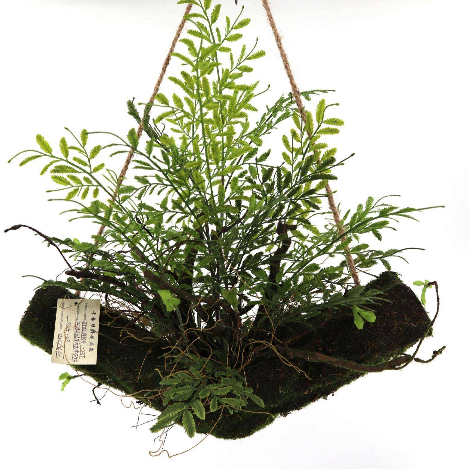 植物吊篮垂吊假景草假蕨盆栽草坪类造景qydz2410观花欧式草绿植仿