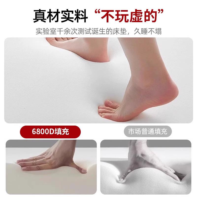乳记忆专床垫棉软胶53454215垫家用卧室宿舍学生单人榻榻米租房用
