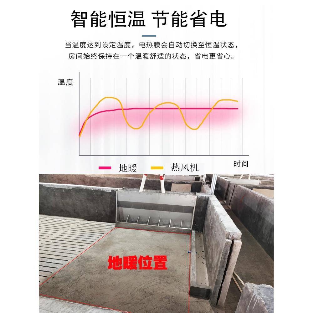 牧地暖用地仔猪取暖暖养猪设备猪场畜电热毯养殖地暖猪用电TGR猪