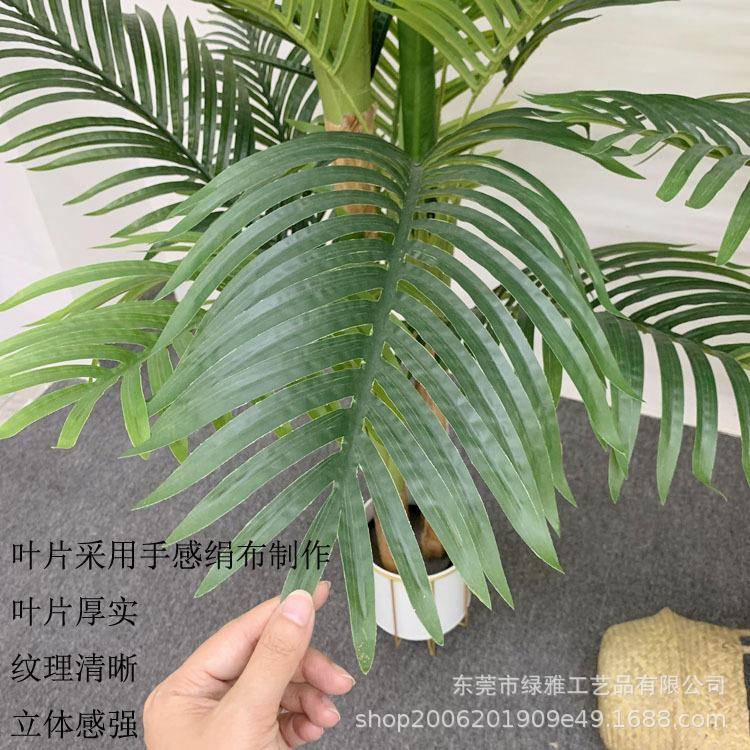 仿绿植仿真散尾葵仿真芭蕉葵皮真散仿真葵树饰家居装落PLJ地盆栽