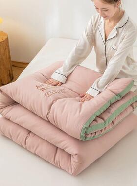 立体被子豆大棉被秋冬加被芯暖冬被学生厂家直供宿舍单人春厚秋保