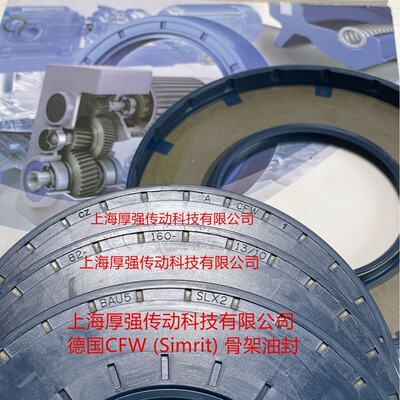 德国SEW弗兰德FLENDER减速机油封CZACFWBAU5SLX282-160-13/10