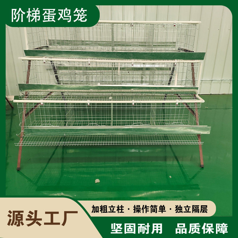 优质蛋鸡笼养殖场专用鸡笼子阶梯式养鸡设备全套机械