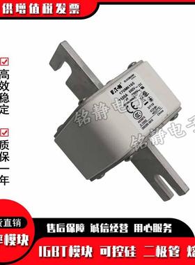 170M6307170M6203170M6204170M6205170M6206熔断器170M6207