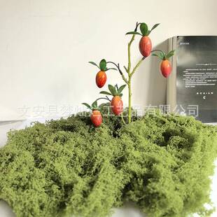 仿真苔藓微景观装饰块状线状草皮软装搭配绿植造景室内植被假青苔