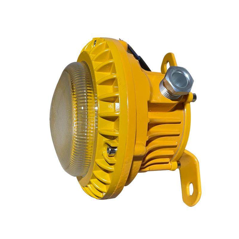 森本FGV1217-30WLED免维护节能防爆灯吸顶吊杆支架电缆过道粮舱