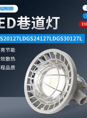 铝壳照明LED防爆巷道灯DGS20127L/DGS24127L/DGS30127L巷道灯