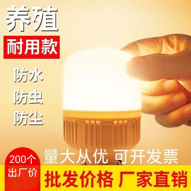 养殖暖光灯泡螺口LED灯超亮节能黄光LED灯鸡蛋养殖场灯养鸡场补光
