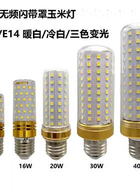 大瓦数功率LED玉米灯变色家用节能灯泡三色变光30W40瓦螺口E14E27