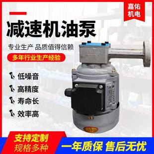 工厂减速机油泵ZCBZ转子式泵立式摆线减速机油泵ZCB1.2油泵