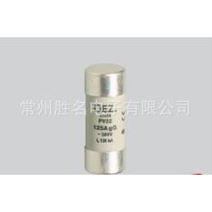 OEZ保险管22x58 pv22 PV522 40A 63A 80A 100A 125A Gr/GG AM690V