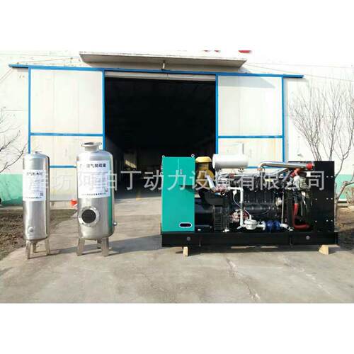 沼气发电机 100kw沼气发电机组 养殖场用沼气发电机热电联产