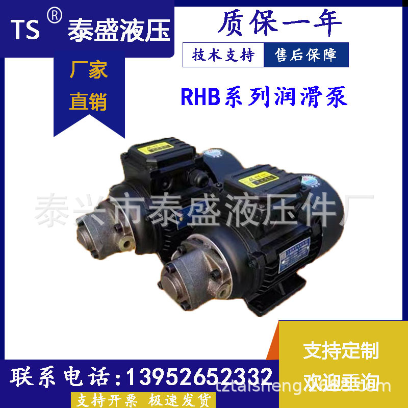 泰兴市泰盛液压件厂RHB-1JZ-1/120W/380V正转摆线齿轮油泵电机220