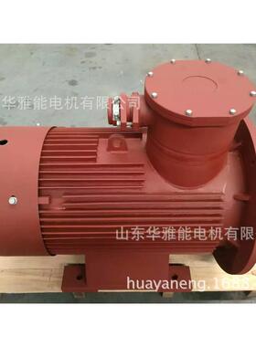 美丽YE3-400-12-220KW电机绿色YE3-400-12-220KW电机不忘一路同行
