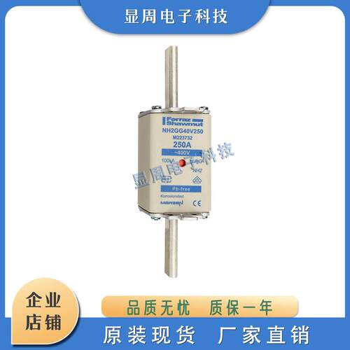 全新保险丝熔断器NH2GG50V250 300 315 R222494 P200803 E201346
