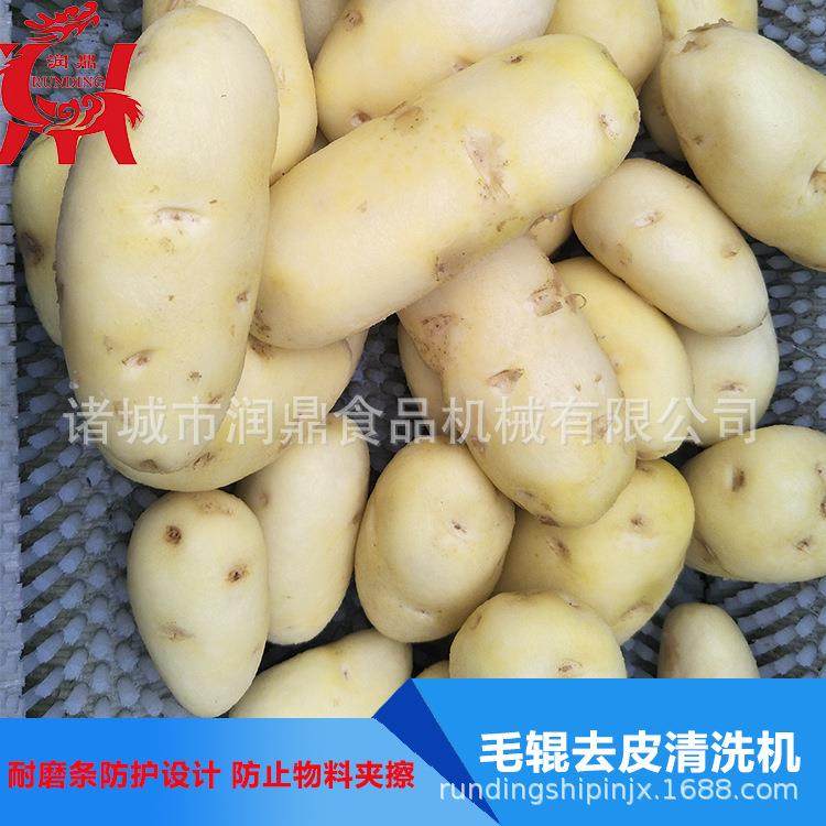 蔬菜水果毛辊清洗机厂家直销 大姜毛辊去皮机 红薯毛辊喷淋清洗机,清洗/食品/商业设备,果蔬加工设备,淘宝优惠券,粉丝福利购,淘宝优惠卷