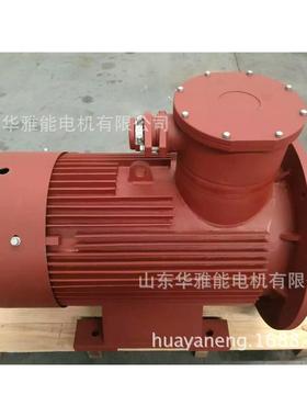 美丽Y2-400-12-220KW电机绿色Y2-400-12-220KW电机不忘一路同行