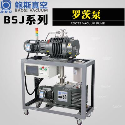 鲍斯罗茨增压真空泵BSJ30L BSJ100Z小型罗茨泵用于实验室 高真空