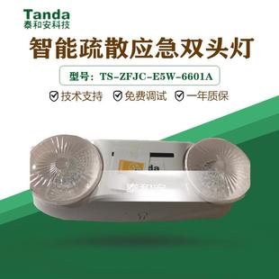 6601A智能疏散应急双头灯集中电源应急灯36V E5W 泰和安TS ZFJC