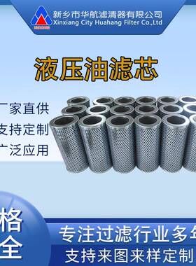 替代普拉赛滤芯HY-S501.300.P10ES铁路养护机油滤芯