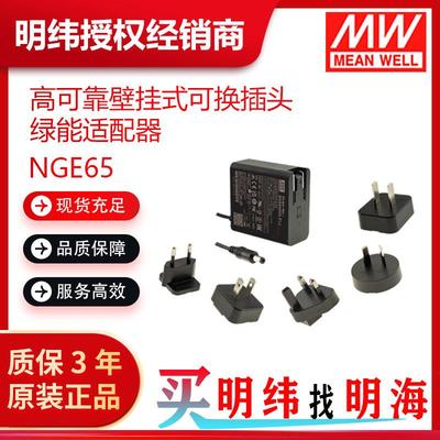 明纬电源NGE65系列5V9V12V15V18V24V48V可换插头绿能适配器
