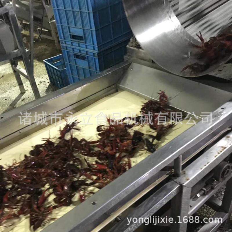 全自动不锈钢滚筒筛选设备滚筒分选机螃蟹分类机器