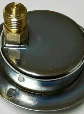 特种轴向带边 偏心耐震压力表 yn60zt -p 0-10mpa/1400psi 60mm