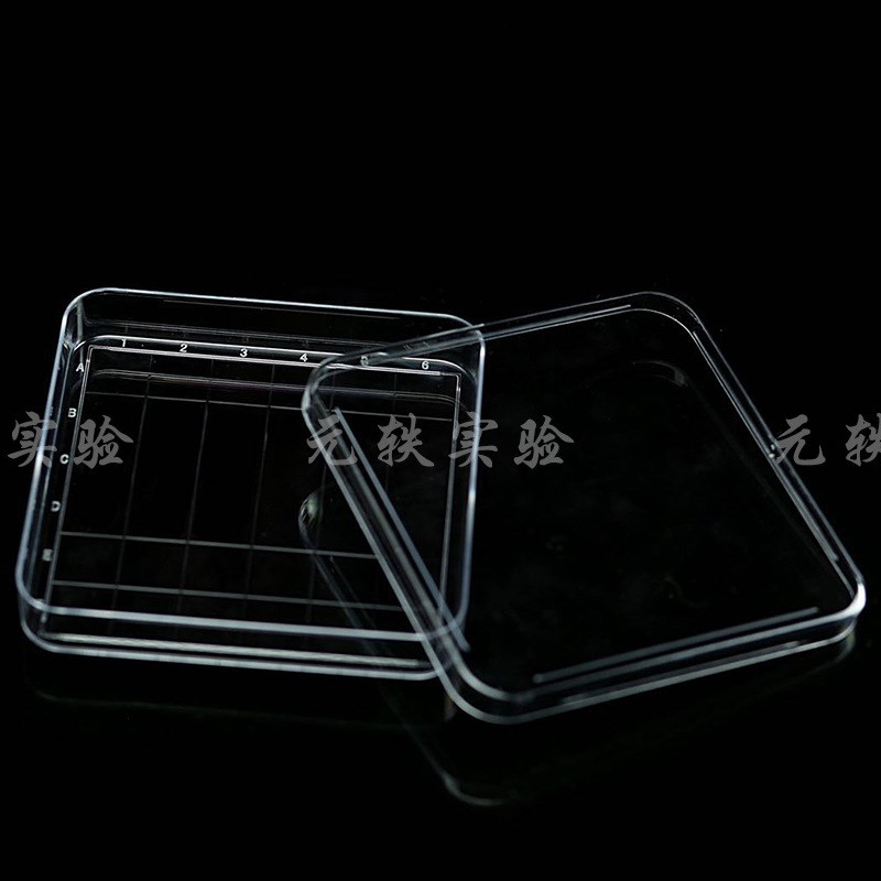 元轶培养皿方形100/130mm 一次性塑料透明培养皿培养皿
