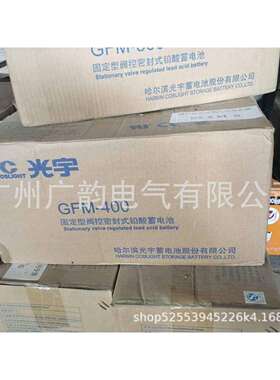 哈尔滨光宇蓄电池12v100ah 项目报备价格