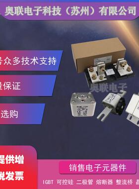 熔断器170M4488 170M4489 170M4490 170M4491 170M4492电容保险丝