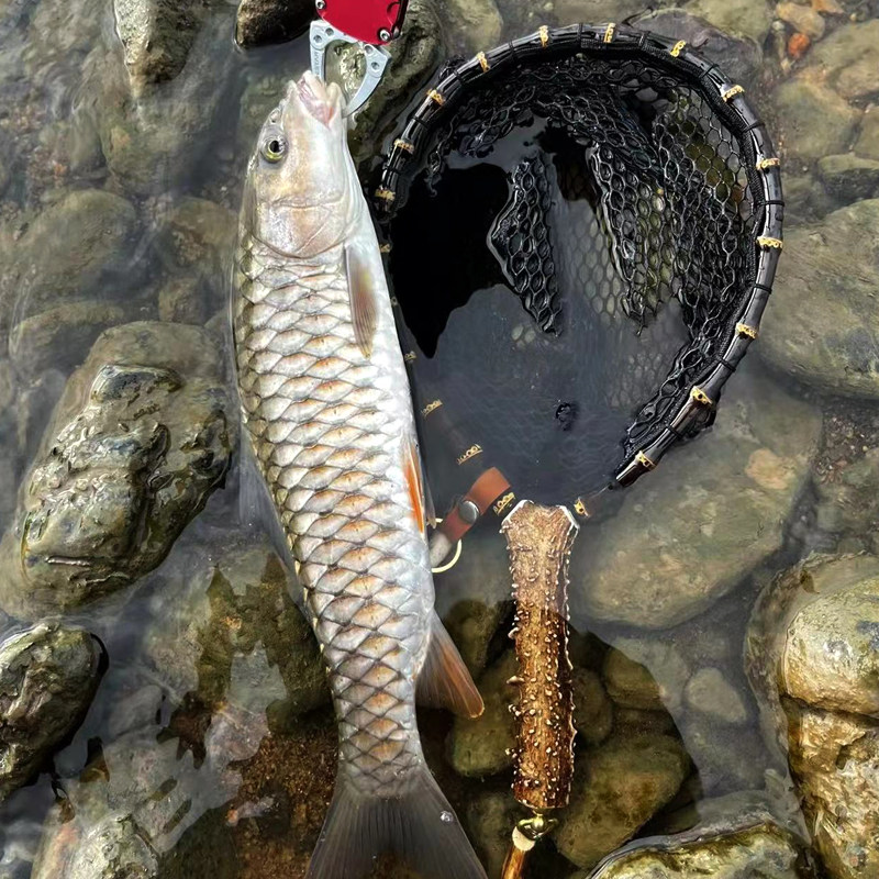 鹿角抄网路亚溪流微物超轻便携实木手抄网紫竹根抄网头捞鱼网装备