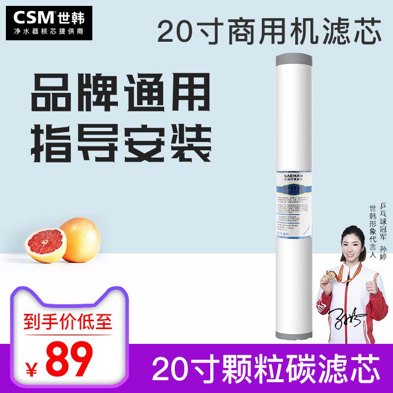 世韩20寸商用机颗粒活性炭滤芯套装小区商用售水机净水器通用配件